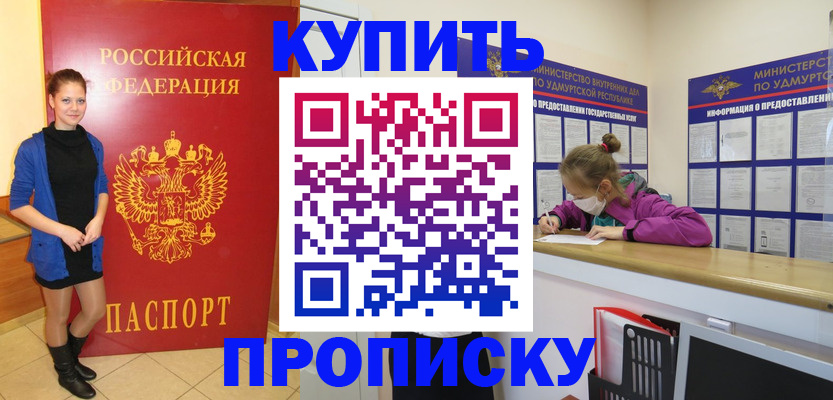 прописка поиск в Шлиссельбурге